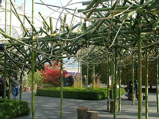 DSCF5739.jpg