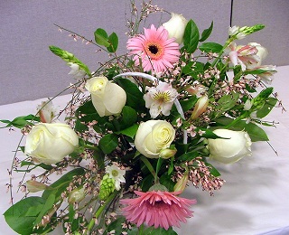 DSCF6721.jpg