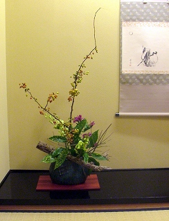 DSCF8746.jpg